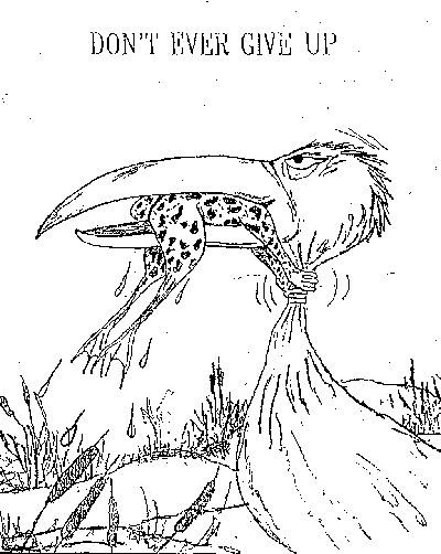 Image result for frog choking a crane