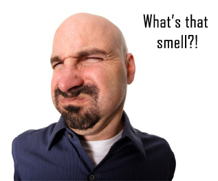 smell.jpg