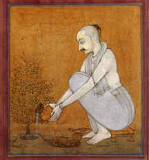 tulasi_watering.jpg