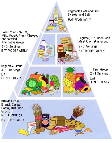 Blank+healthy+living+pyramid